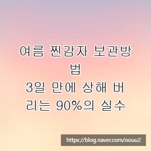 여름 찐감자 보관방법, 3일 만에 상해 버리는 90%의 실수