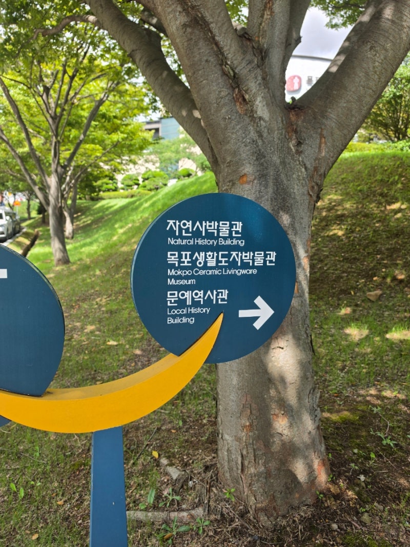 목포 아이와 가볼만한곳! 자연사박물관 6천원 통합권으로 반나절 (ft. 비올때 실내 나들이)