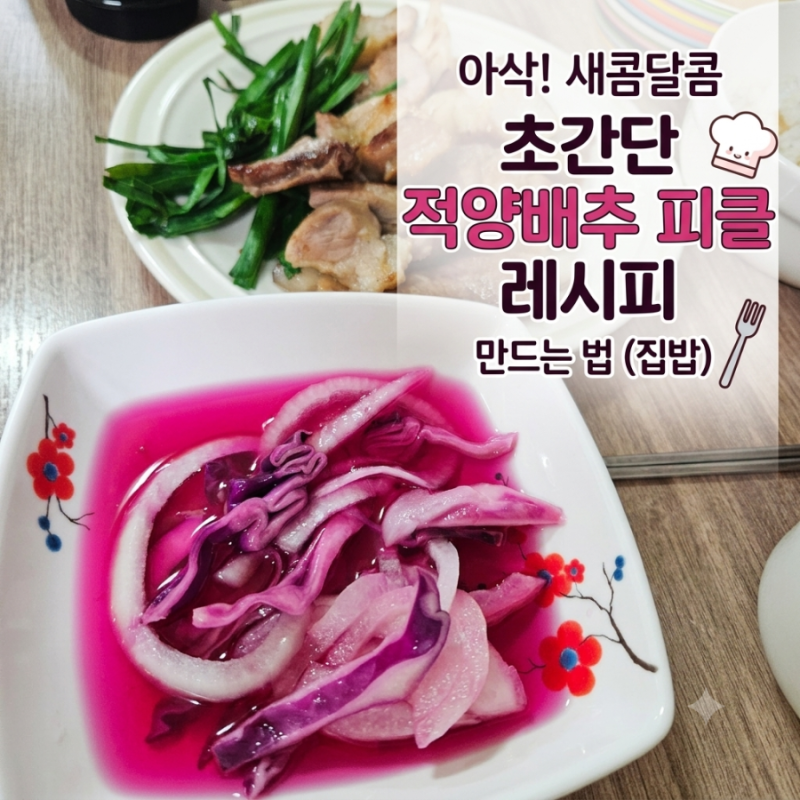 [우렁엄마]선명한 보랏빛으로 식탁 분위기 살려주는 적양배추피클01