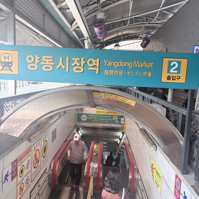 광주 양동시장 가을 장보기 양동통닭부터 과일·생선·그릇까지 양동시장 한바퀴