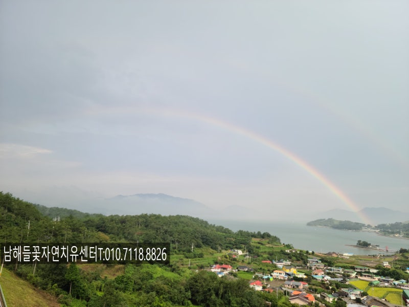 갑상선암 바로알기 #15갑상선암 수술 후 살이 찌는 이유는? 호르몬약을 먹는데도 체중이 늘어....