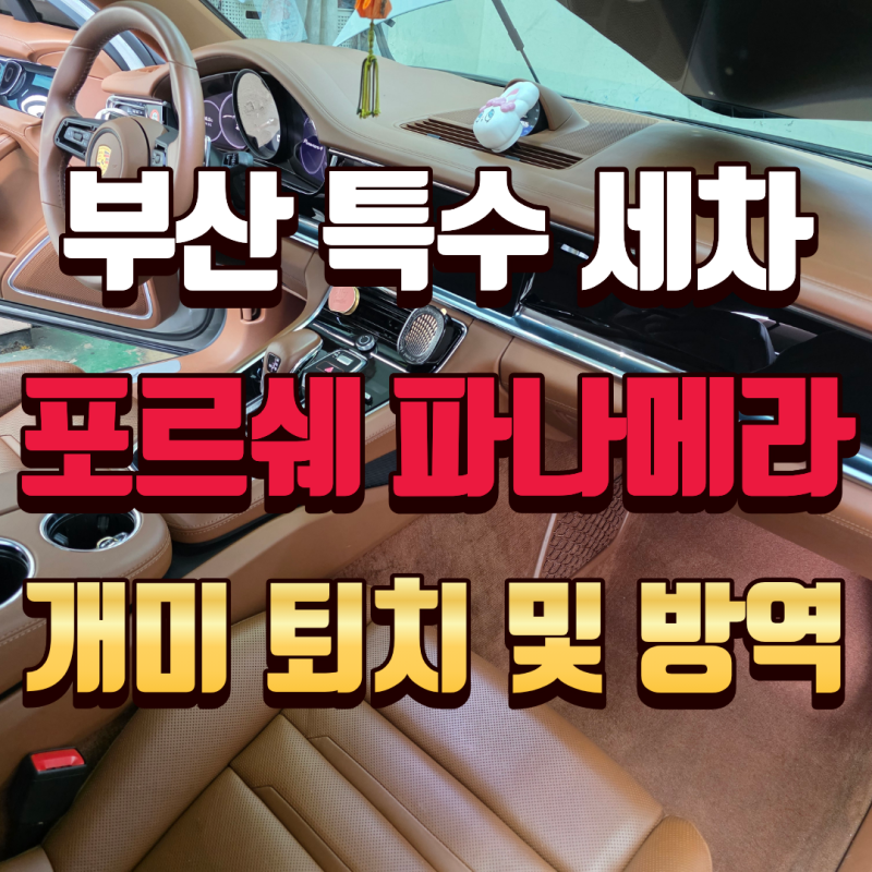 부산 특수 세차 포르쉐 파나메라 실내 개미 퇴치 및 방역