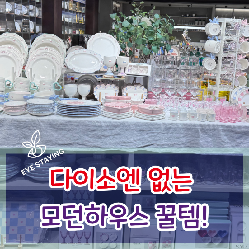 다이소보다 훨씬 실용적이라 갈아탄 모던하우스 추천템!