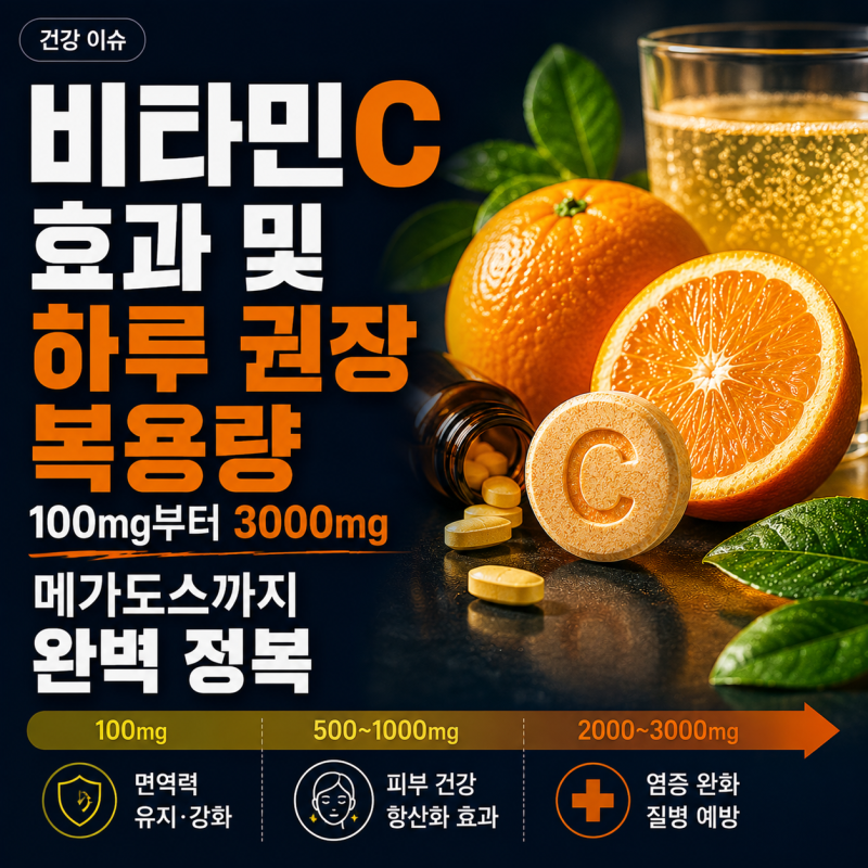 비타민C 효과 및 하루 권장 복용량 — 100mg부터 3000mg 메가도스까지 완벽 정복