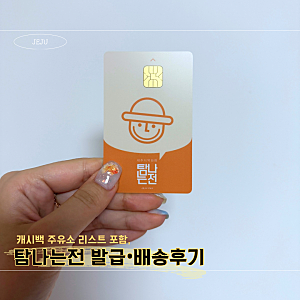 [제주여행] 탐나는전 선불카드 발급방법 및 배송 기간 | 탐나는전 캐시백 가능 주유소 리스트