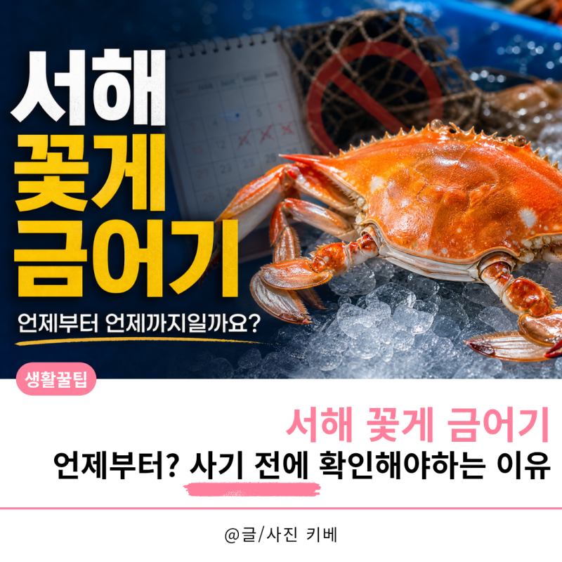 서해 꽃게 금어기, 언제부터? 사기 전에 확인해야하는 이유