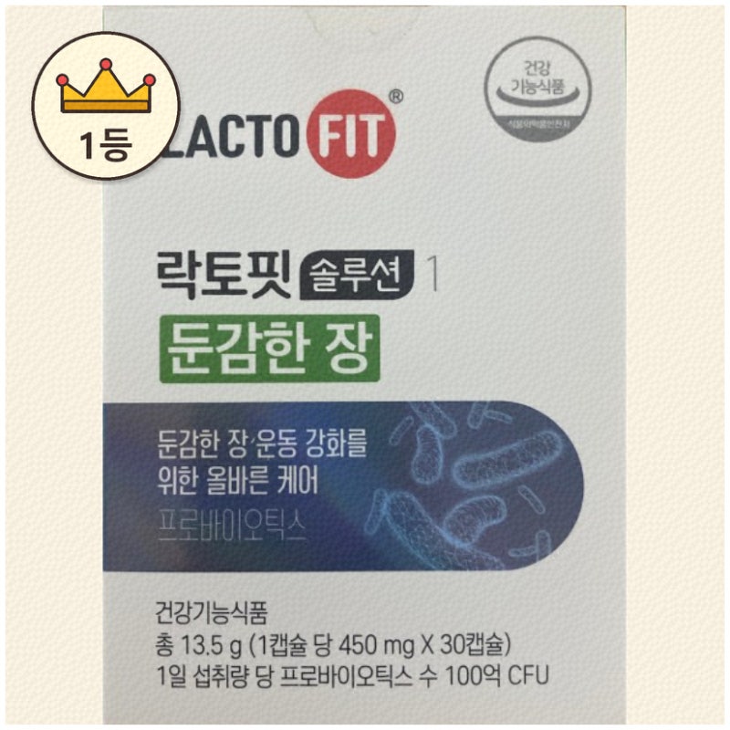 락토핏솔루션유산균으로 건강 챙기기 좋은 선택