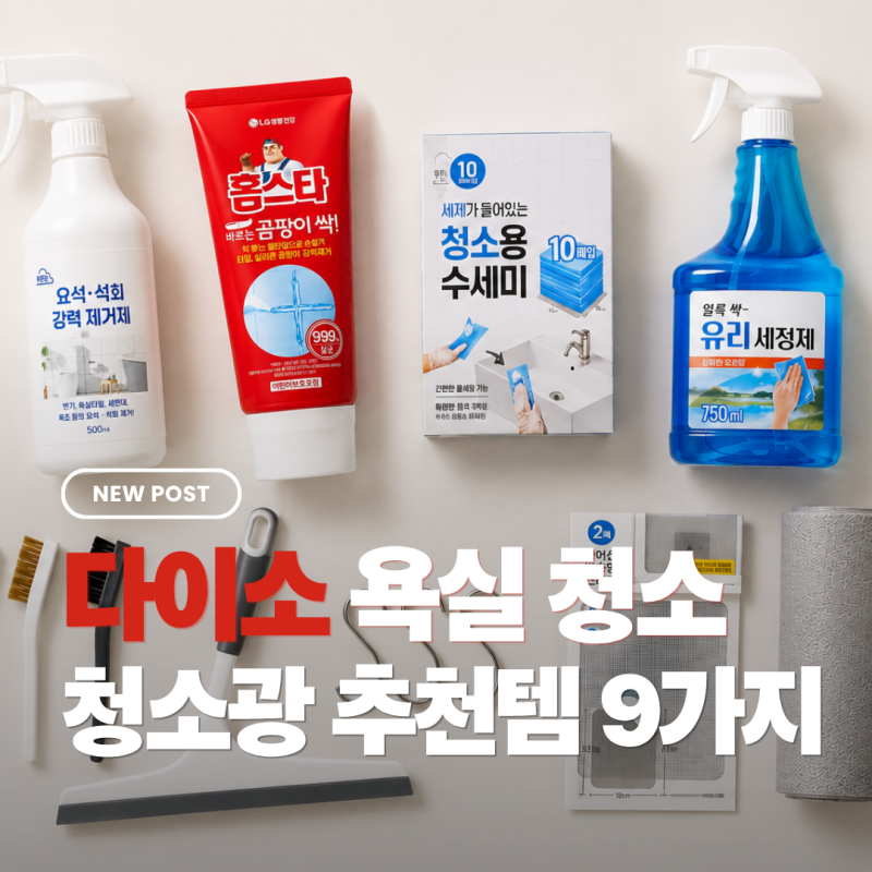 더러운 건 못 참는 청소광의 다이소 욕실 청소 꿀템 9가지
