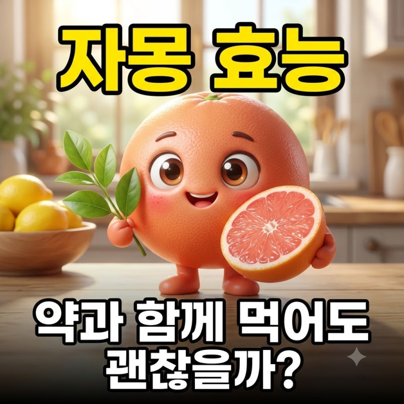 상큼 쌉싸름한 자몽의 놀라운 건강 효능 약과 함께 먹을 때 주의해야 할 핵심 팩트