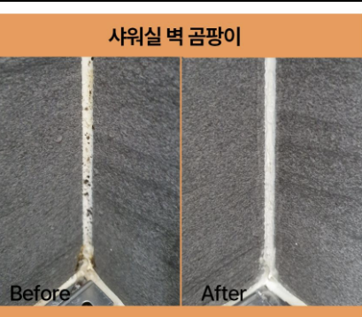 욕실 곰팡이 제거 총정리! 락스 냄새 줄이면서 확실하게 없애는 리얼 후기