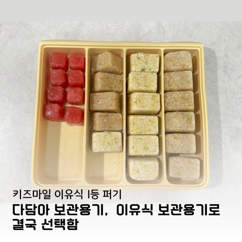 키즈마일 이유식 1등 퍼기 | 다담아 보관용기, 이유식 보관용기로 결국 선택함