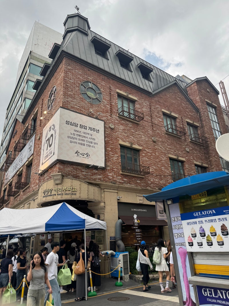 대전 성심당 본점 빵 추천 망고 시루, 보문산 메아리, 순수롤 등 솔직후기