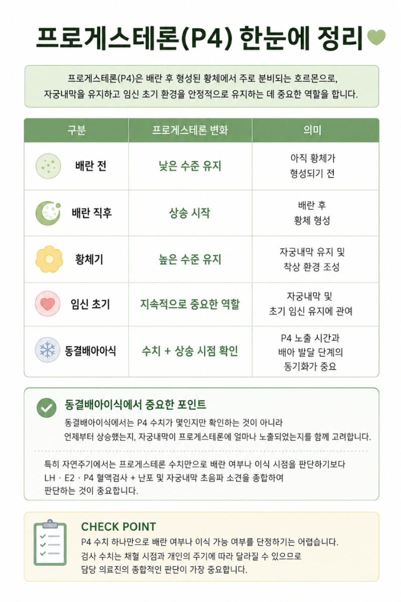 프로게스테론 수치 총정리｜배란 전, 배란 후 정상수치, P4 황체호르몬과 동결이식