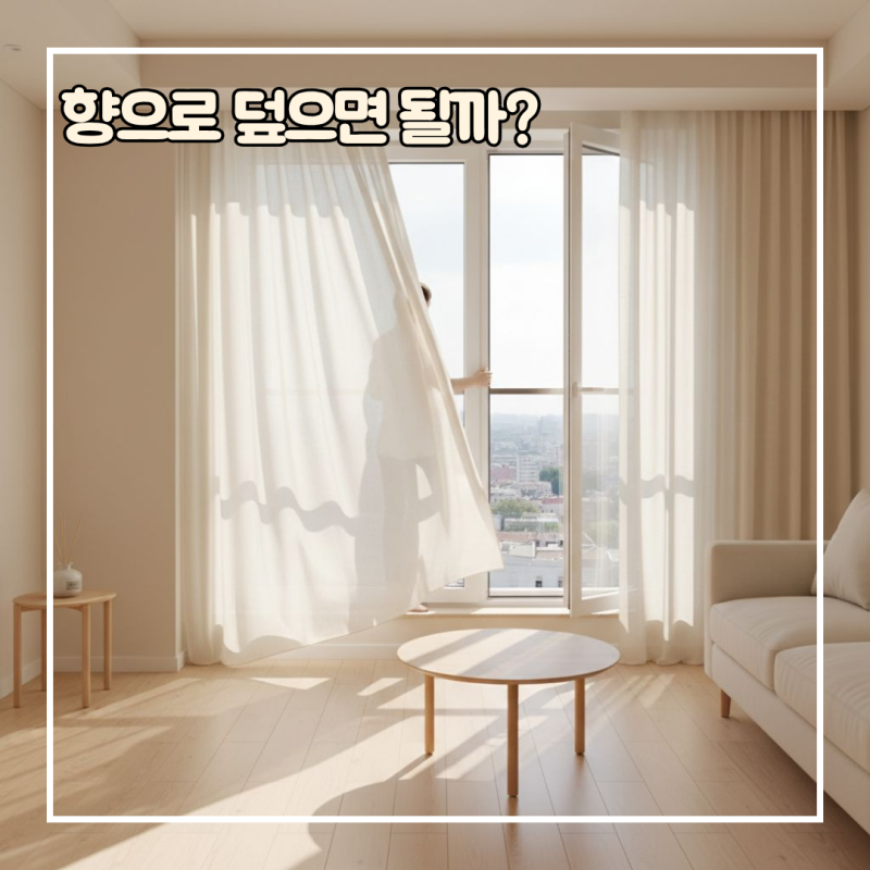 새집 냄새 빼는 법, 방향제부터 놨다면? 먼저 해야 할 게 있어요