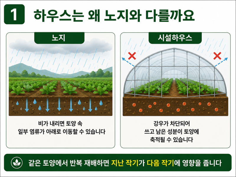 하우스 밑거름(기비), 많이 넣으면 좋을까? 시설재배는 노지와 다릅니다.