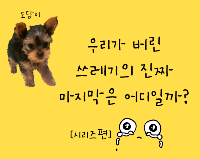 우리가 버린 쓰레기의 진짜 마지막은 어디일까? 재활용·소각·매립의 끝