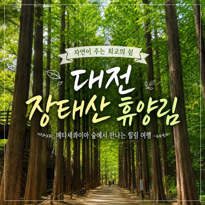 대전장태산휴양림 예약 언제 방문 전 꼭 알아야 할 주의할 점 총정리