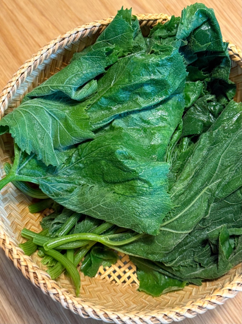 호박잎 찌는법 시간 손질부터 세척까지 부드러운 호박잎쌈 만들기