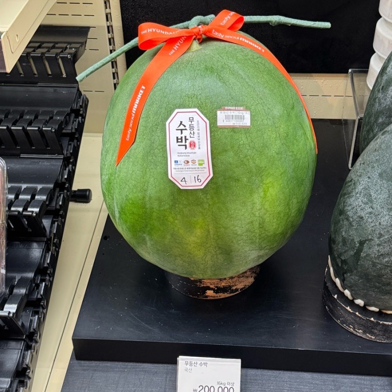 10) 무등산 수박