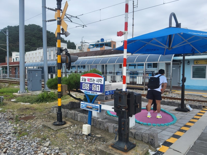 강릉 가볼만한 곳 best 7 - 경포해변, 커피거리, 오죽헌, 선교장, 하슬라아트월드, 중앙시장과....