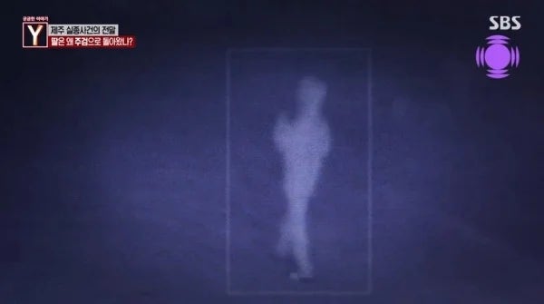 “마지막엔 슬리퍼였는데…” 장미란 씨 제주 실종 사건, 야자수에서 발견된 신발끈의 의문
