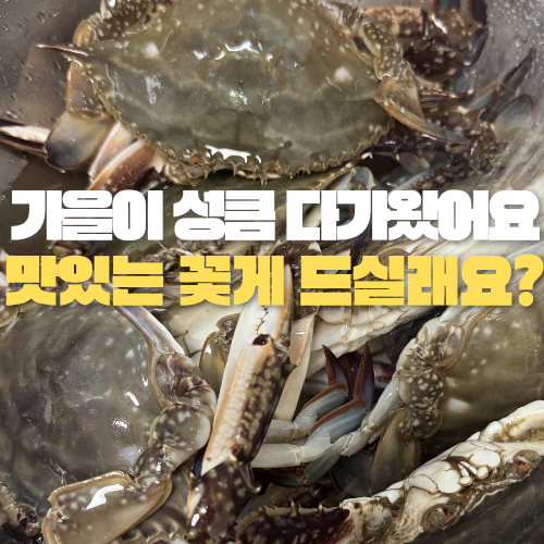 [9~12월 제철 꽃게] 싱싱한 가을 숫꽃게 고르는 법부터 대형마트 할인, 초간단 꽃게찜 만드는 ....