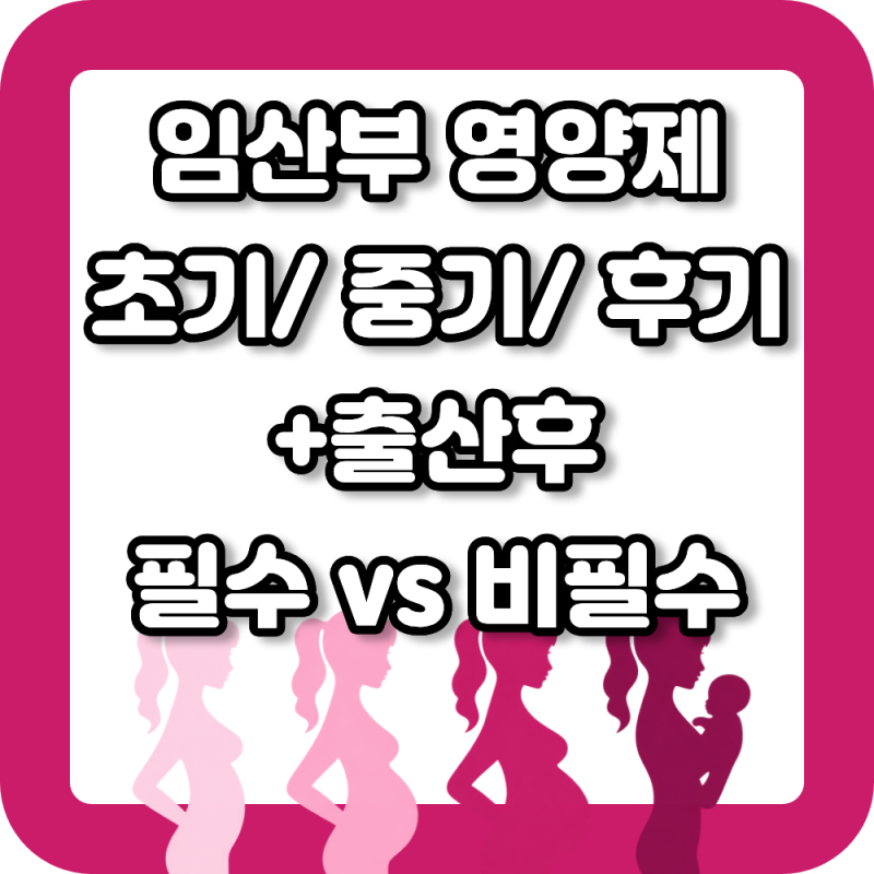임산부 임신 초기 중기 후기 + 출산후 영양제 근거기반 필수/비필수