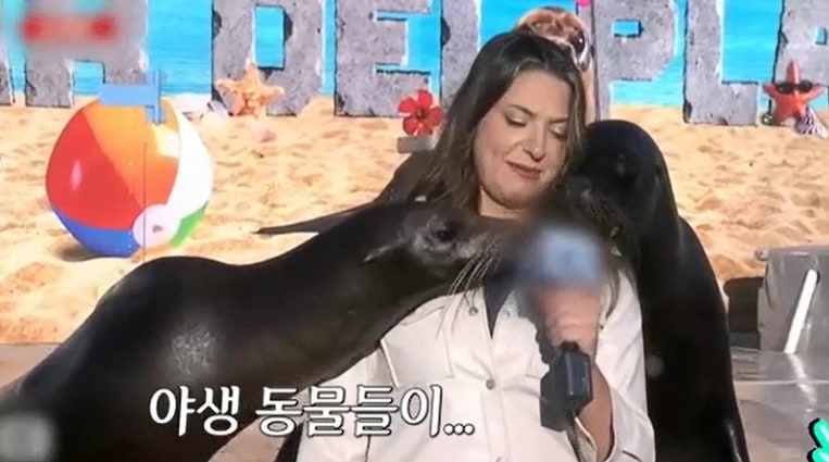 차트를 달리는 남자 인간들 긴장해라 동물들의 반란 차달남 501회 순위 랭킹 8월 29일 예고