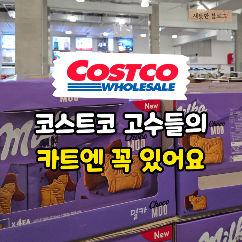 “코스트코 고수들은 그냥 지나치지 않아요” 연회비 아깝지 않은 간식 추천템 3가지