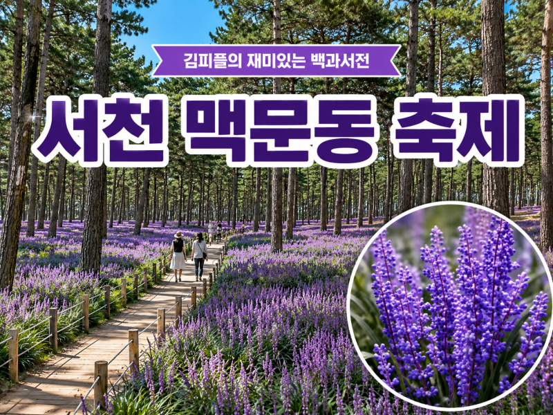 2026 서천 맥문동 축제 안내｜장항송림 일정·주차·공연·체험 총정리