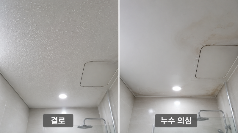 화장실 천장 물방울, 누수일까 결로일까 자가진단 5가지