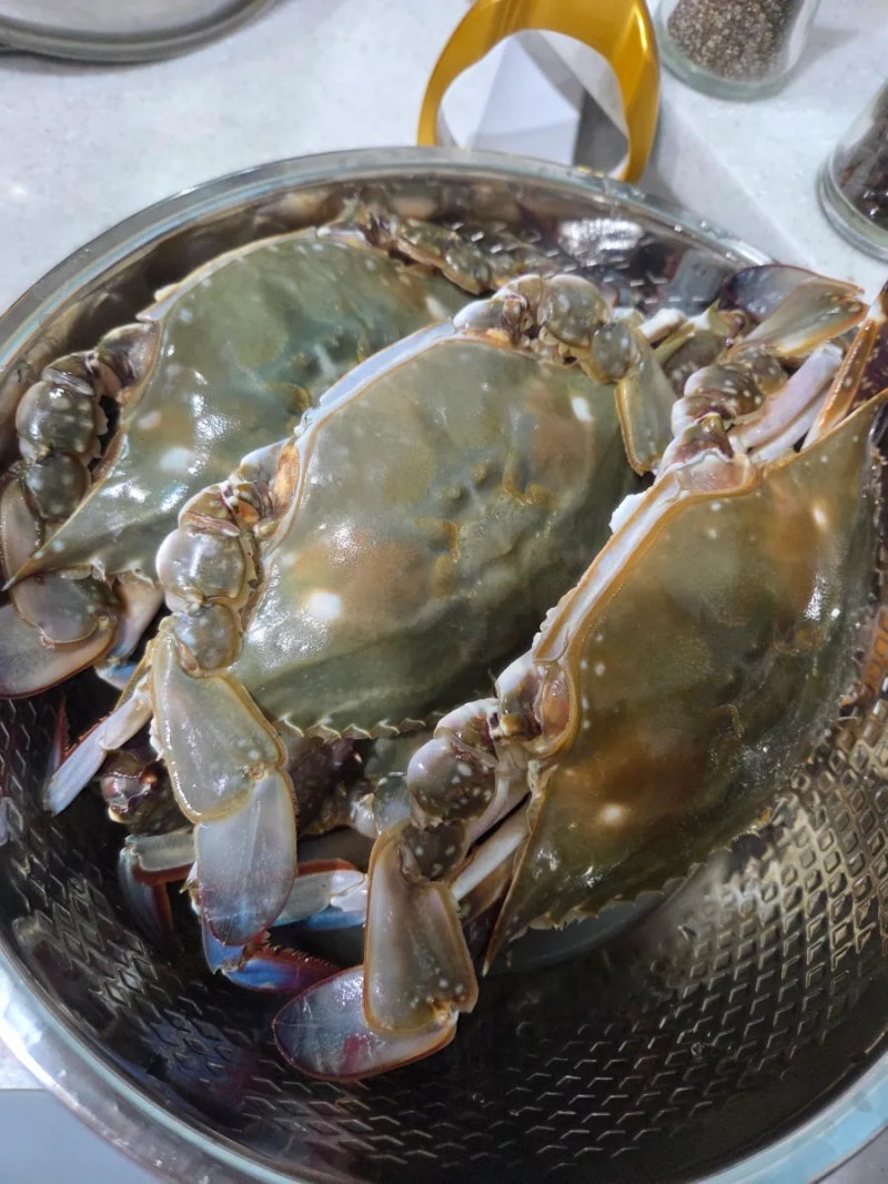 신선만 숫꽃게 4kg 주문! 집에서 꽃게찜 배불리 먹은 날 가을꽃게제철