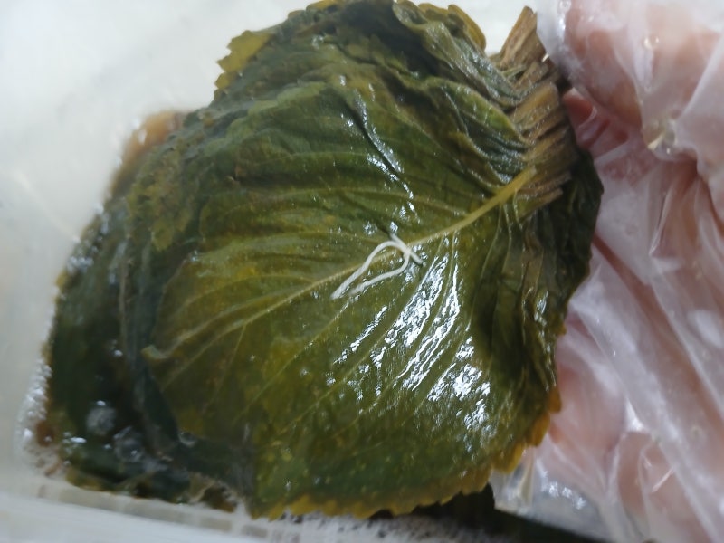 깻잎 삭히기 제철 들깻잎 삭히는 법 깻잎 삭힐 때 소금물 비율 깻잎 소금 장아찌 만드는 법