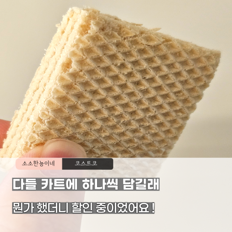 코스트코 “이번 주는 이거 사러 갑니다” 8월 넷째주 할인 추천상품 TOP4