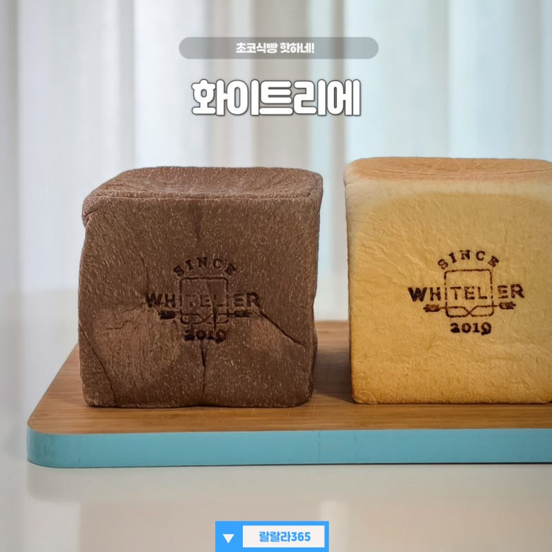 화이트리에 초코식빵 먹는 방법 3가지 빵나오는 시간 가격