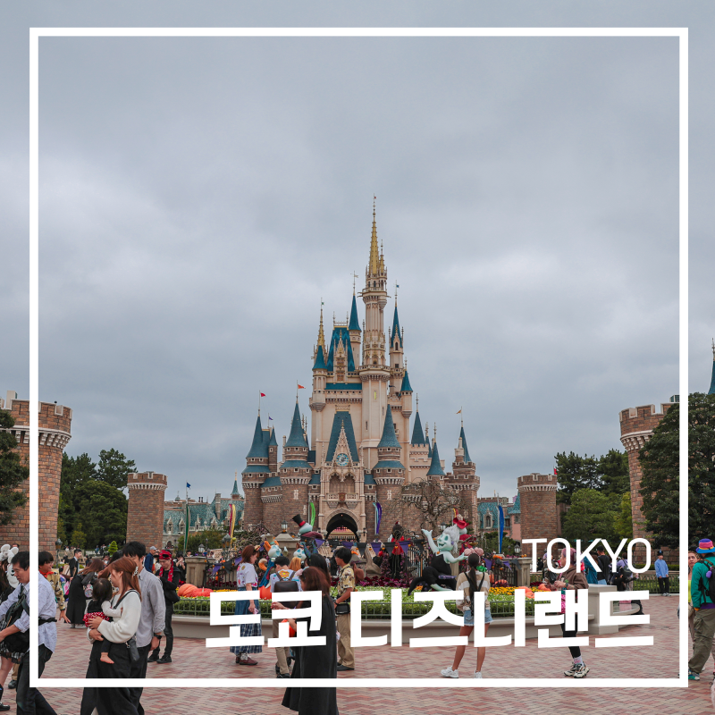 일본 도쿄 디즈니랜드 후기 DPA 변경 입장권 할인 도쿄 관광지