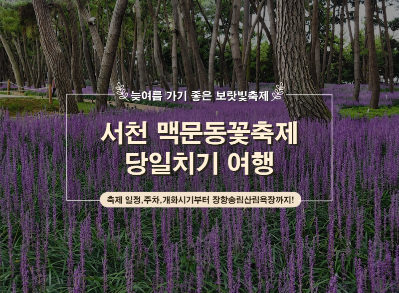 서천 가볼만한곳ㅣ맥문동꽃축제 일정·주차부터 장항송림산림욕장 당일치기 여행코스까지!