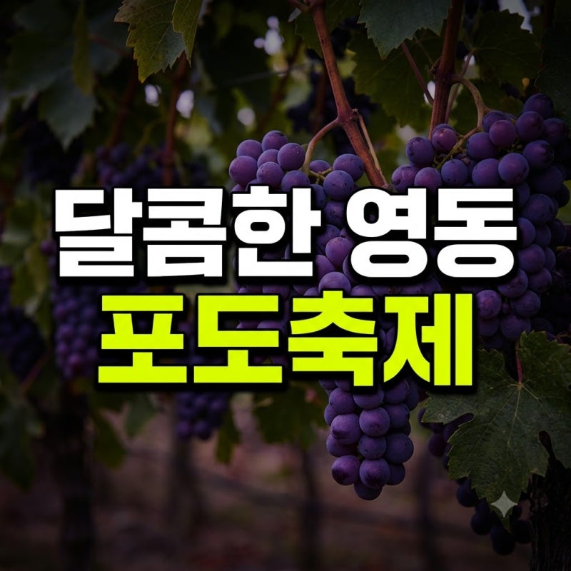 영동 포도축제 장소 주차 일정 후기 총정리(+초대 가수 라인업 충북 인형일정)