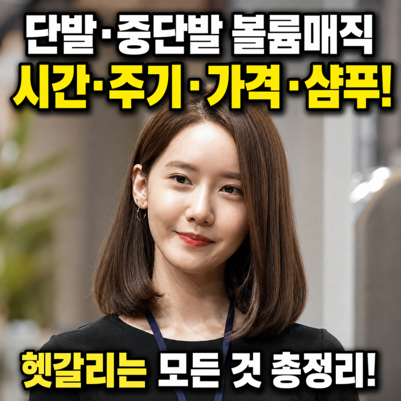 단발 중단발 볼륨매직 C컬 후 샴푸는 언제? 시술 시간·가격·관리 주기 체크