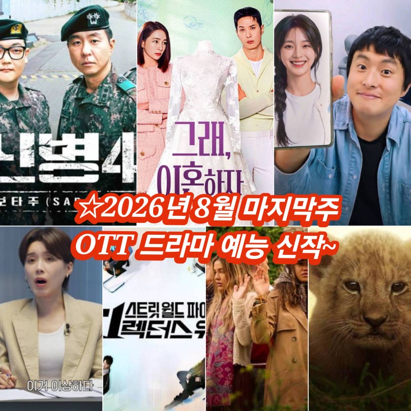 8월 네째 주말 OTT 넷플릭스 디즈니 플러스 티빙 웨이브 신작 드라마 예능 신병4 신병캠프 나....