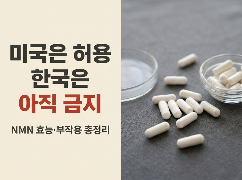 NMN 효능 부작용 복용법 총정리 — 미국은 풀렸는데 한국은 왜 아직일까? (2026)