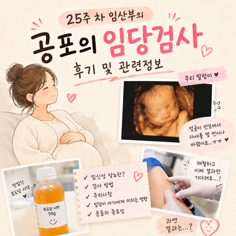 25주 임산부 임당검사 후기｜임신성 당뇨 검사 방법 및 관련 정보