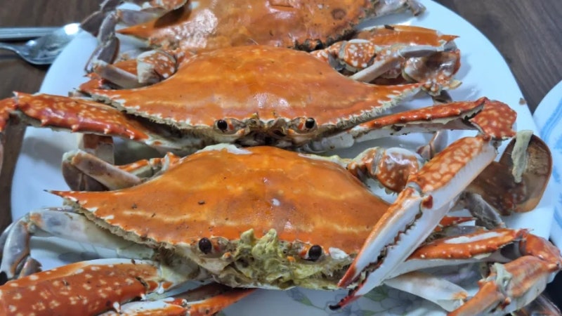 가을 숫꽃게찜 비린내 없이 찌는 법｜체액 빼는 손질부터 알뜰한 국물 활용까지