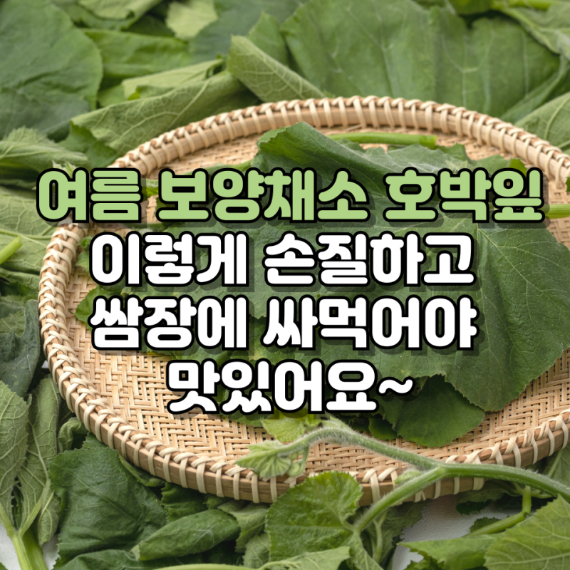 호박잎 제철 효능 손질법부터 찌는법 데치는법, 쌈장 황금비율