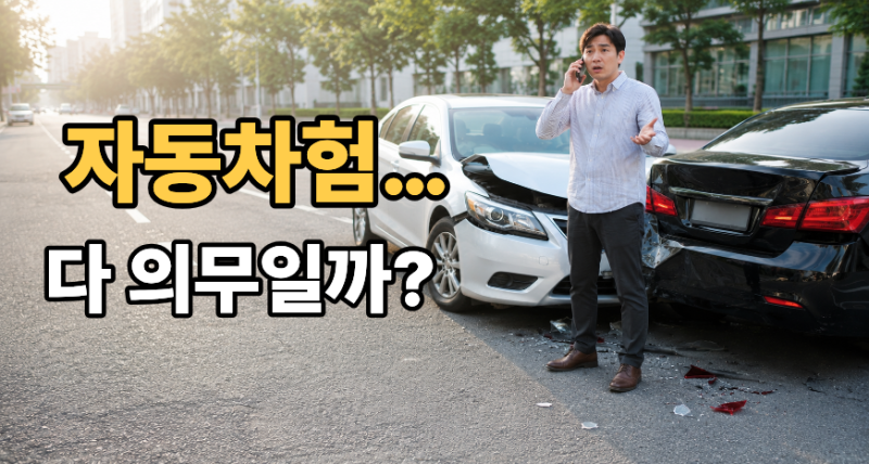 자동차보험은 다 의무일까? 안 들면 안 되는 보험은 따로 있습니다