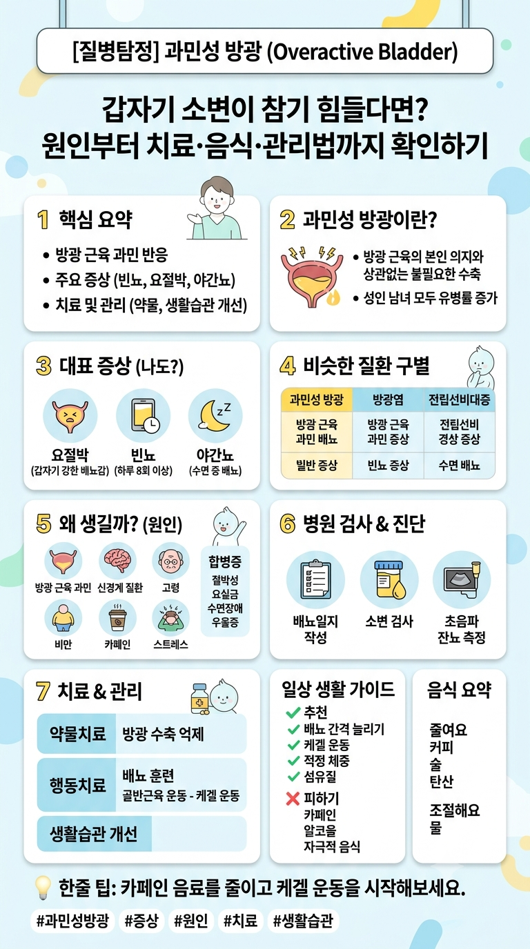 [질병탐정] 과민성 방광 참기 힘든 소변 고민? 증상과 원인부터 치료·관리법까지 확인하기
