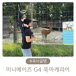 미니메이즈 G4 아기등산캐리어 목마캐리어 착용방법 9개월 아기 나들이 후기