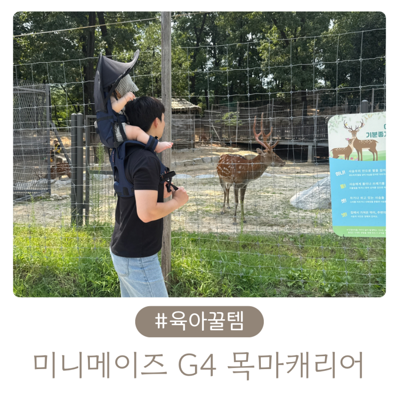 미니메이즈 G4 아기등산캐리어 목마캐리어 착용방법 9개월 아기 나들이 후기