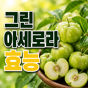 그린 아세로라 효능 부작용 올바른 섭취 기준 총정리