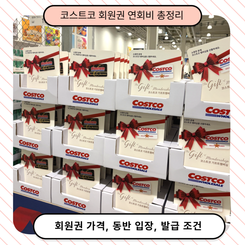 코스트코 가족카드 주소 다르면 안 돼요! 회원권 가격 종류별 비교부터 준비물까지